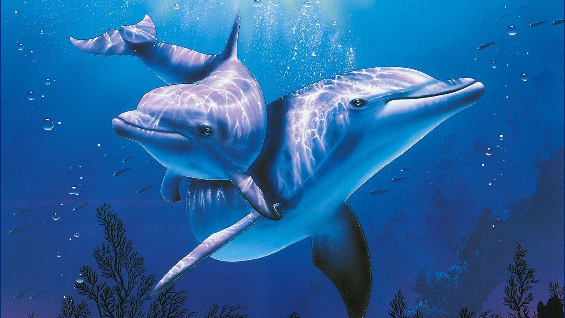 Dolphins Painting