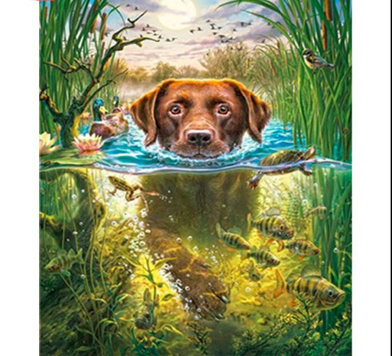 Swimming Dog - Paint by Numbers