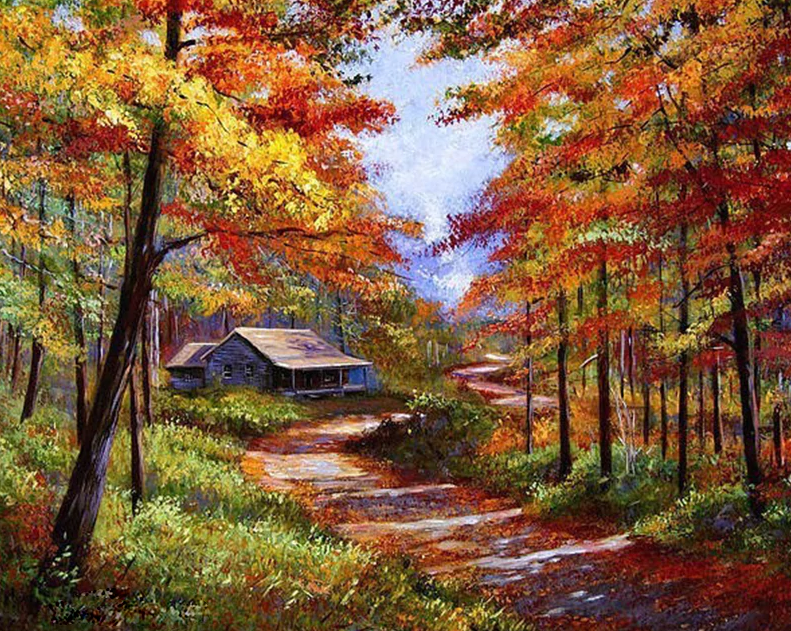 A House In The Forest Kit
