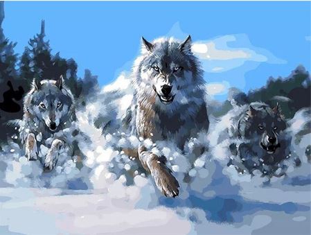 Hunting Wolves Pack - Paint by Numbers