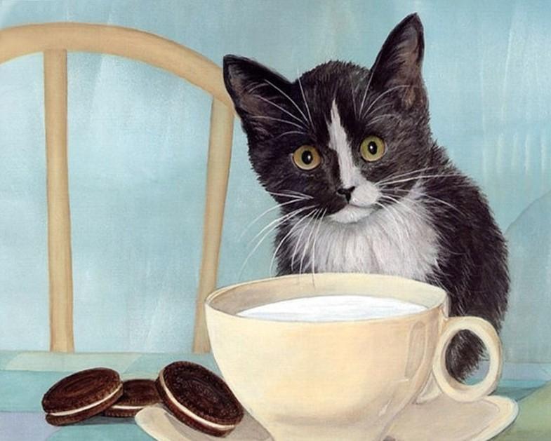 Cat And Milk