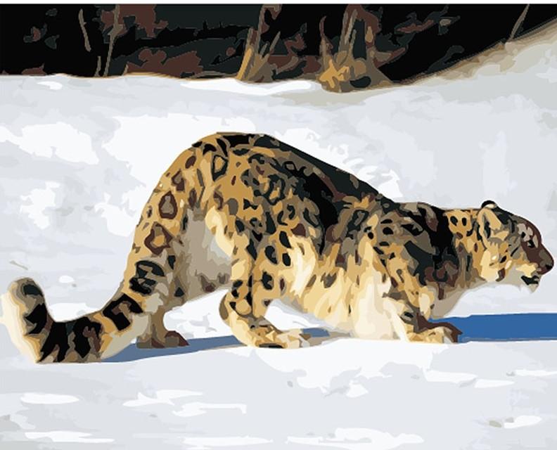Hunting Leopard