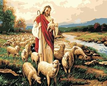 Man With Sheep