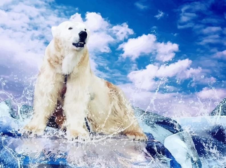 A White Bear