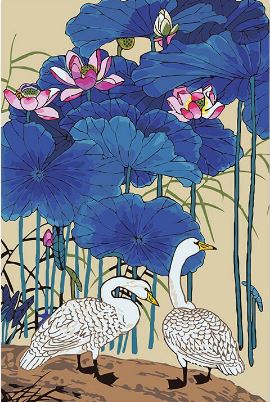 Couple of Ducks - Paint by Numbers