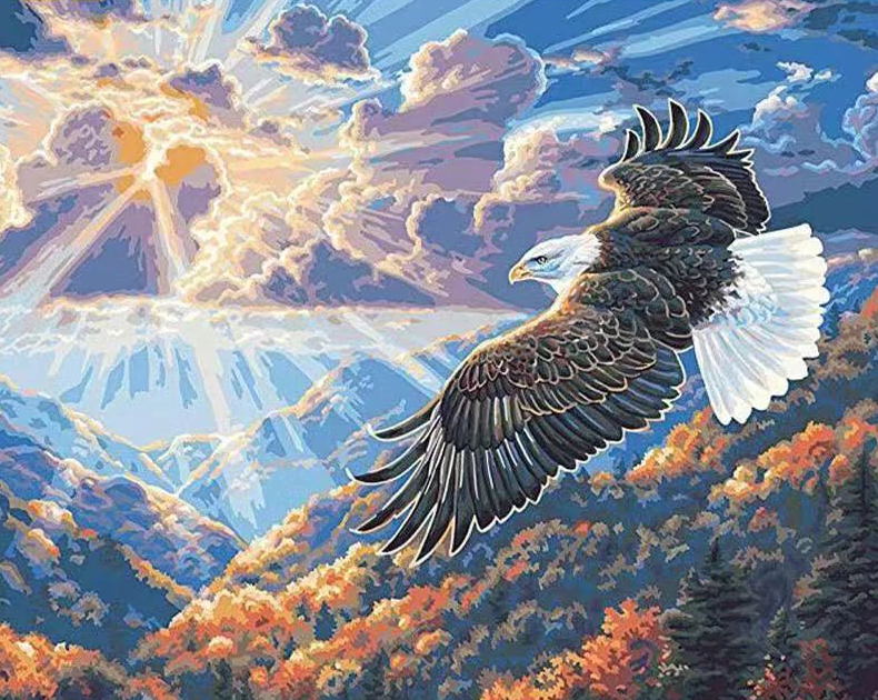 An Eagle In The Sky Kit