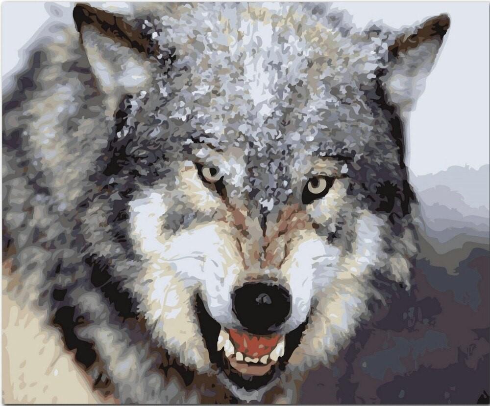 Angry Wolf