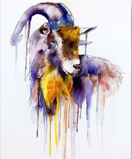 Animals Goat Painting - Paint by Numbers