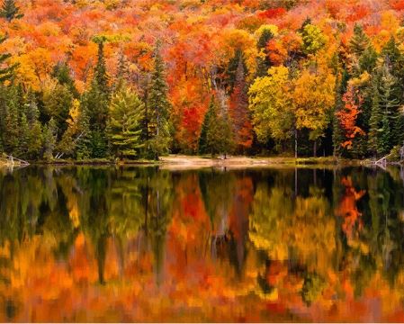 Autumn Scenery- Paint by Numbers Kit 