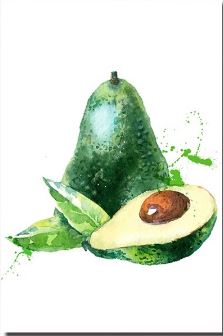 Avocado - Paint by Numbers kit