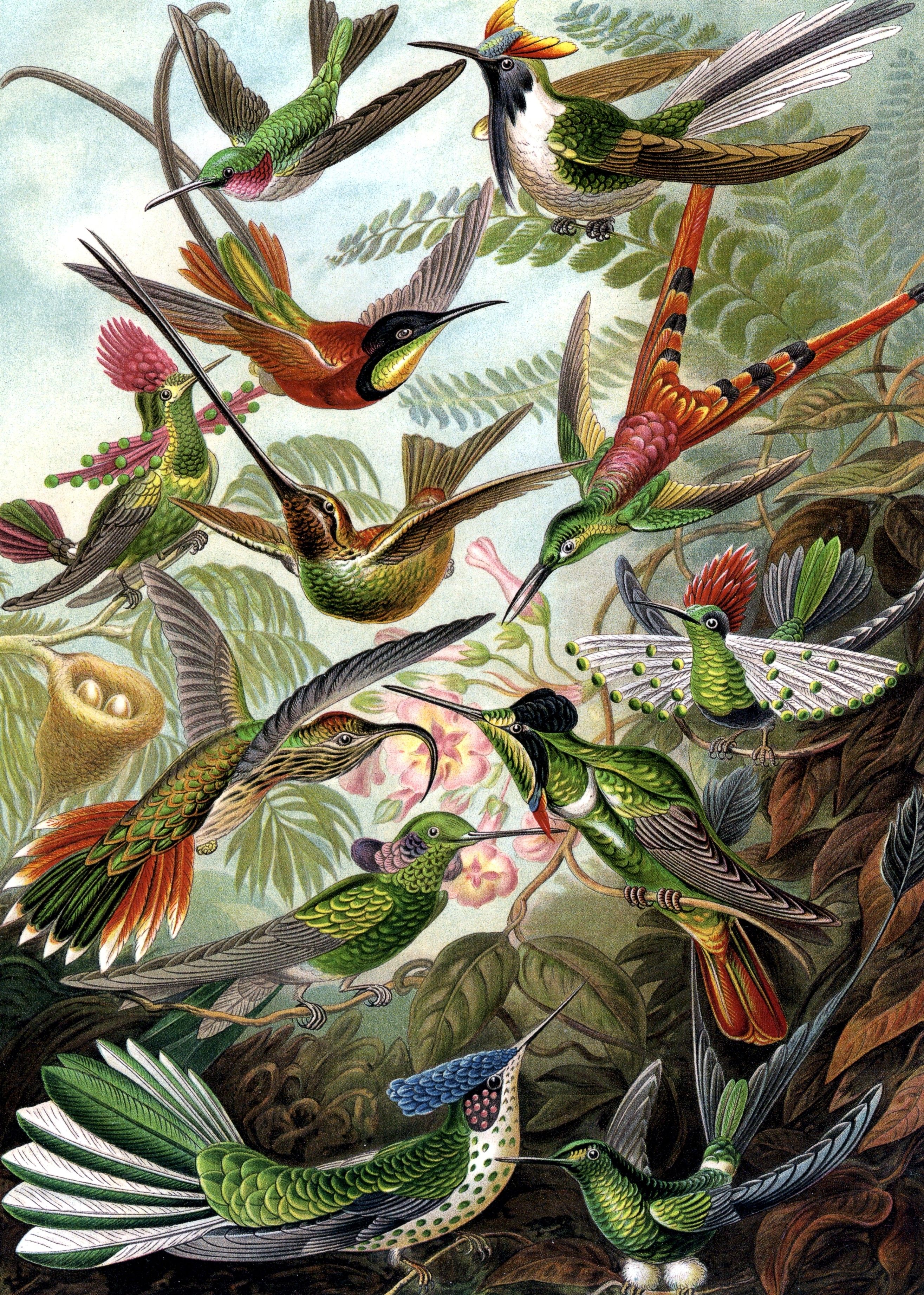 Birds Painting By Numbers