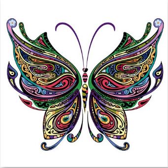 Colorful Butterfly - Paint by Numbers