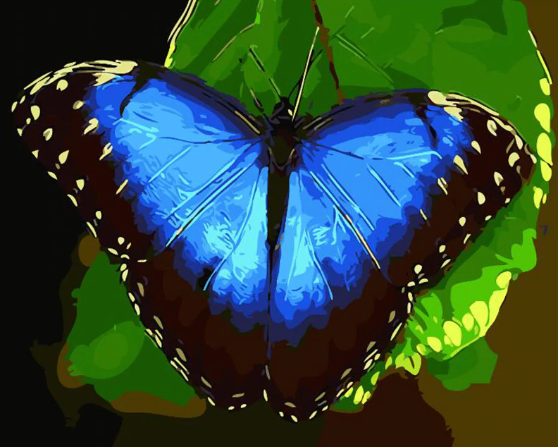 Beautiful Butterfly Painting Kit