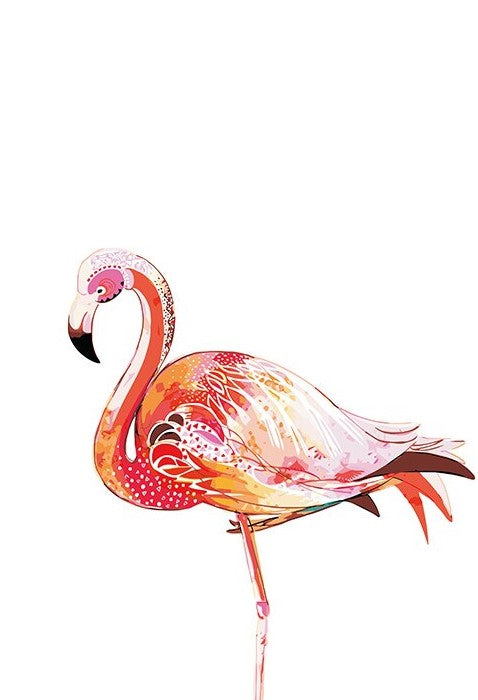 Beautiful flamingo Kit