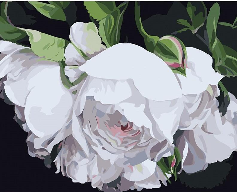 White Flowers