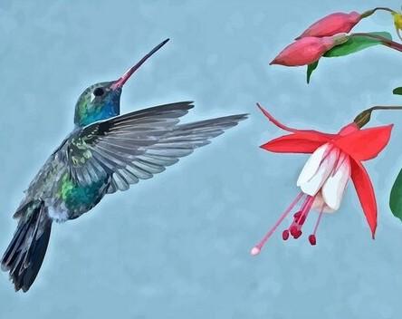 Birds And Flowers painting