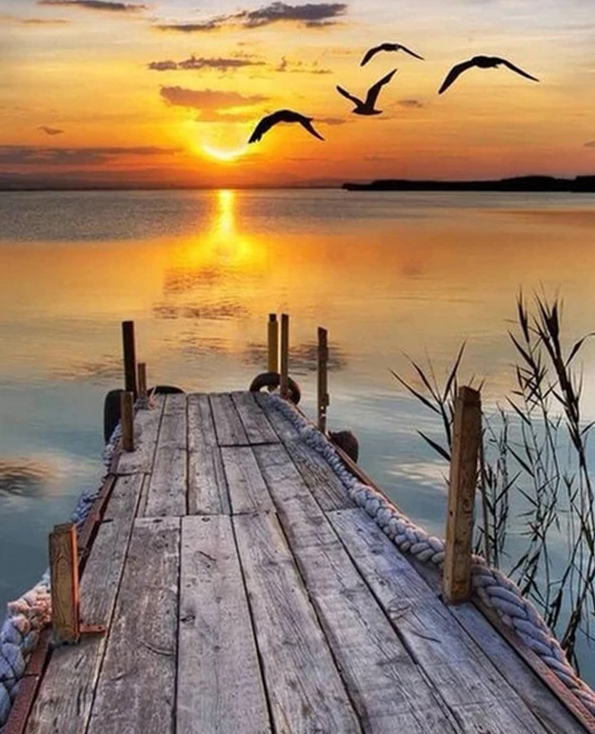 Bridge And Birds Paint By Numbers Kit