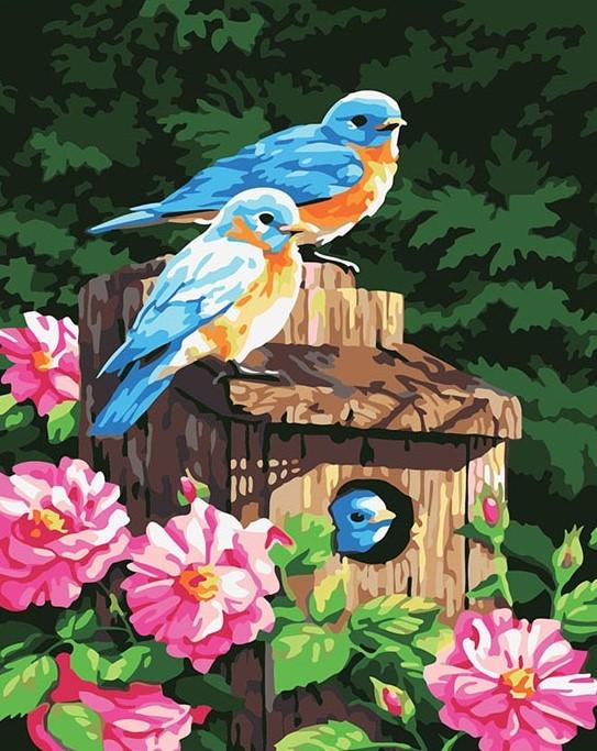 Birds home painting kit
