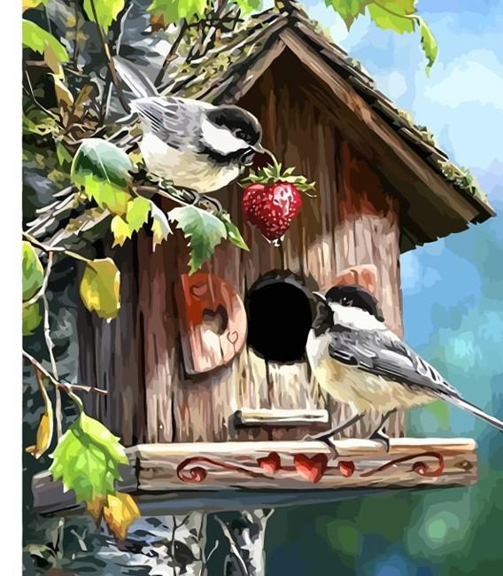 Birds DIY paint by numbers kit