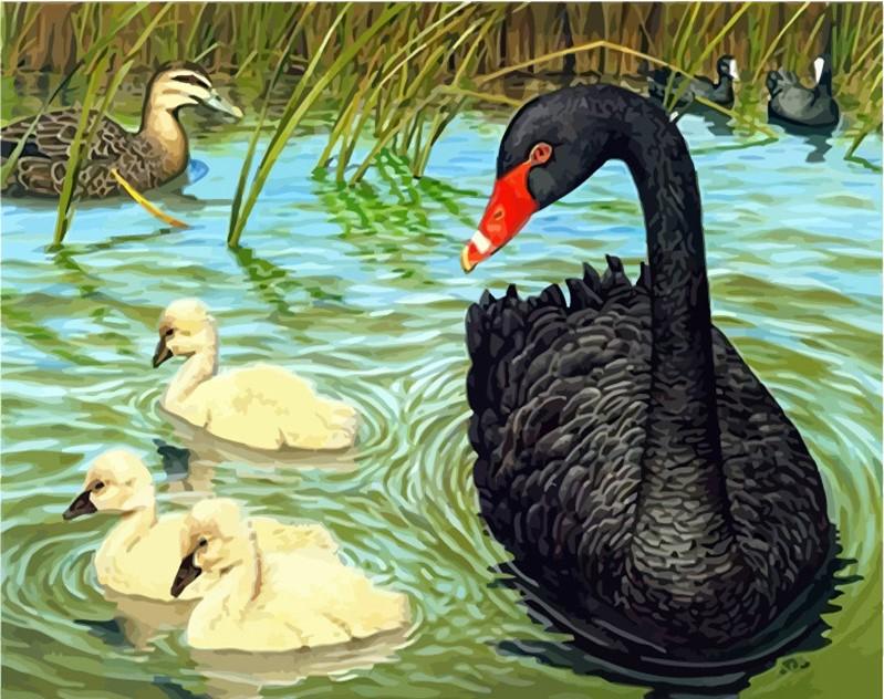 Ducks in lake painting