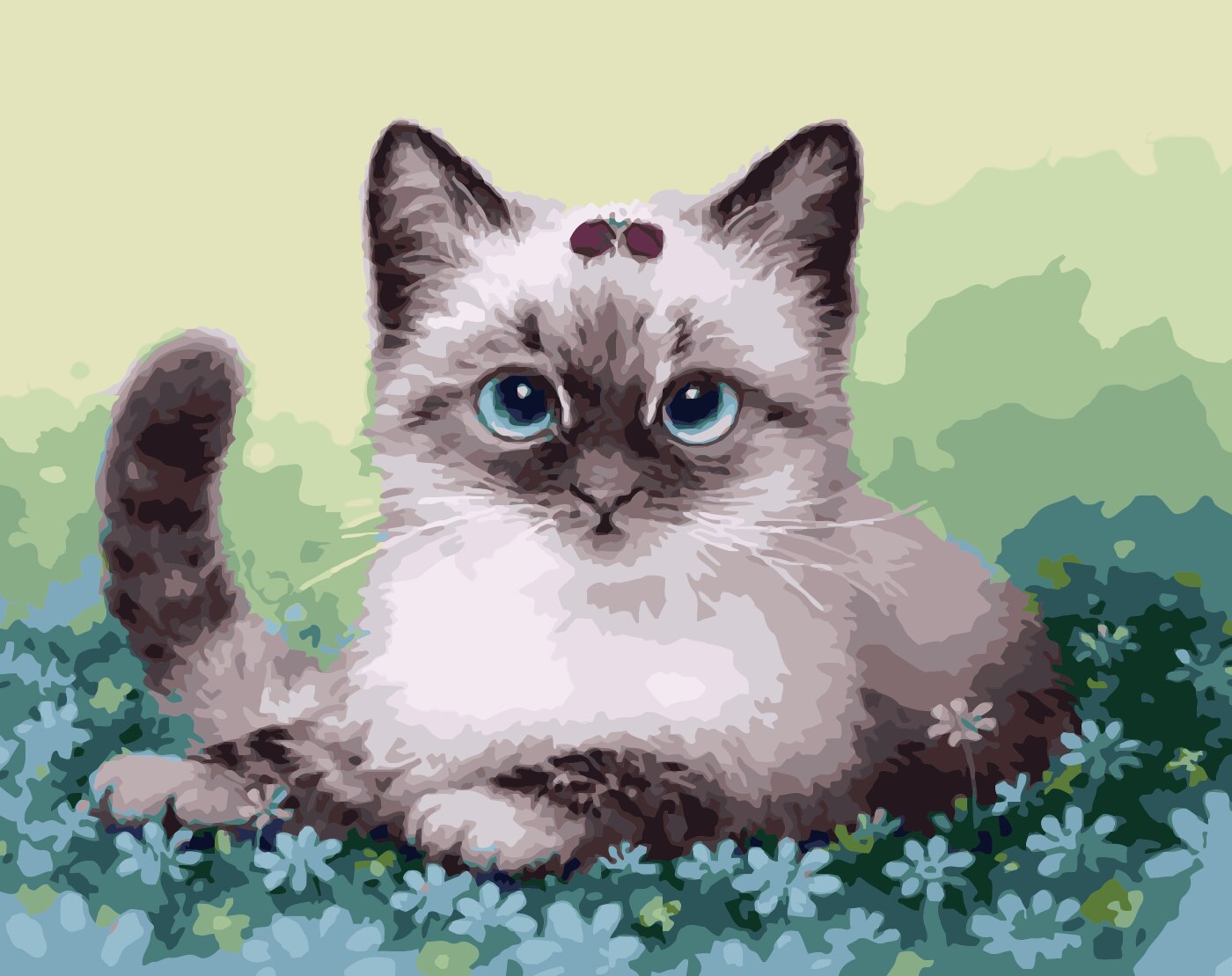 cat painting by numbers kit