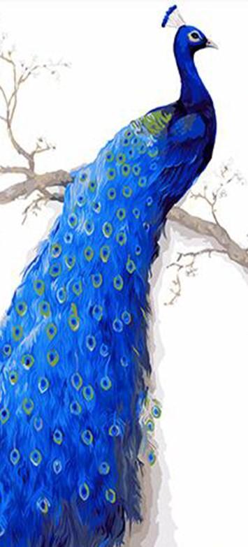 Beautiful Peacock painting 