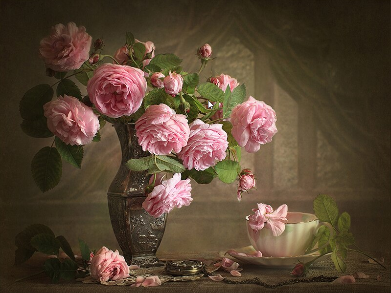 Camellia Flower Europe Painting