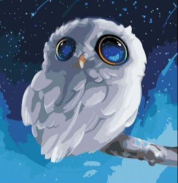 Cute Owl With Big Eyes - Paint by Numbers