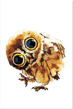 Cute Little Owl Painting Kit