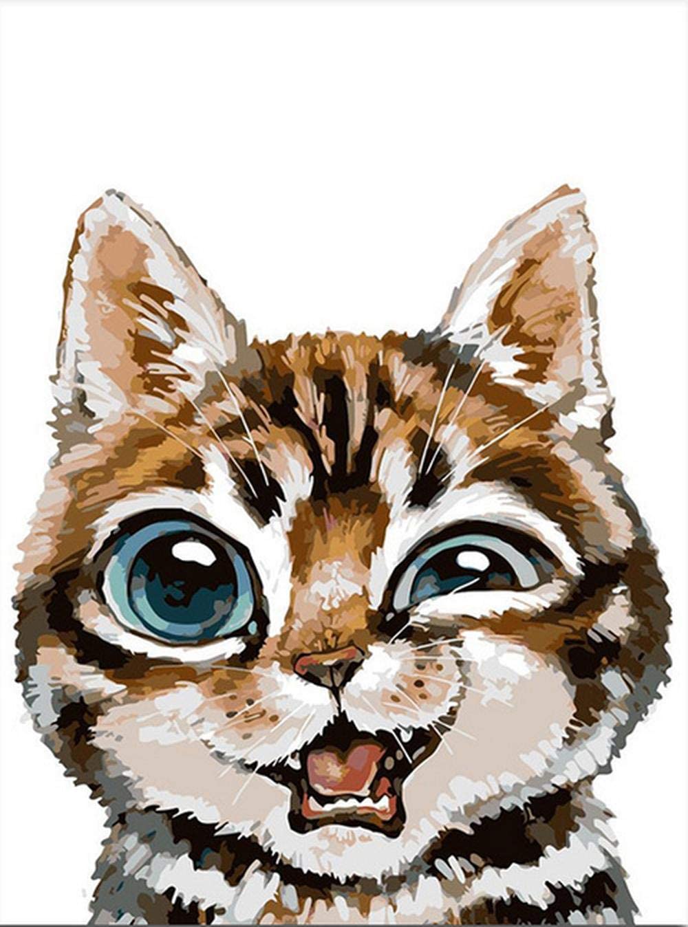 Cat Animated painting By Numbers kit