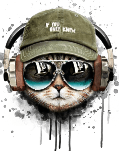 Cat With Fashion