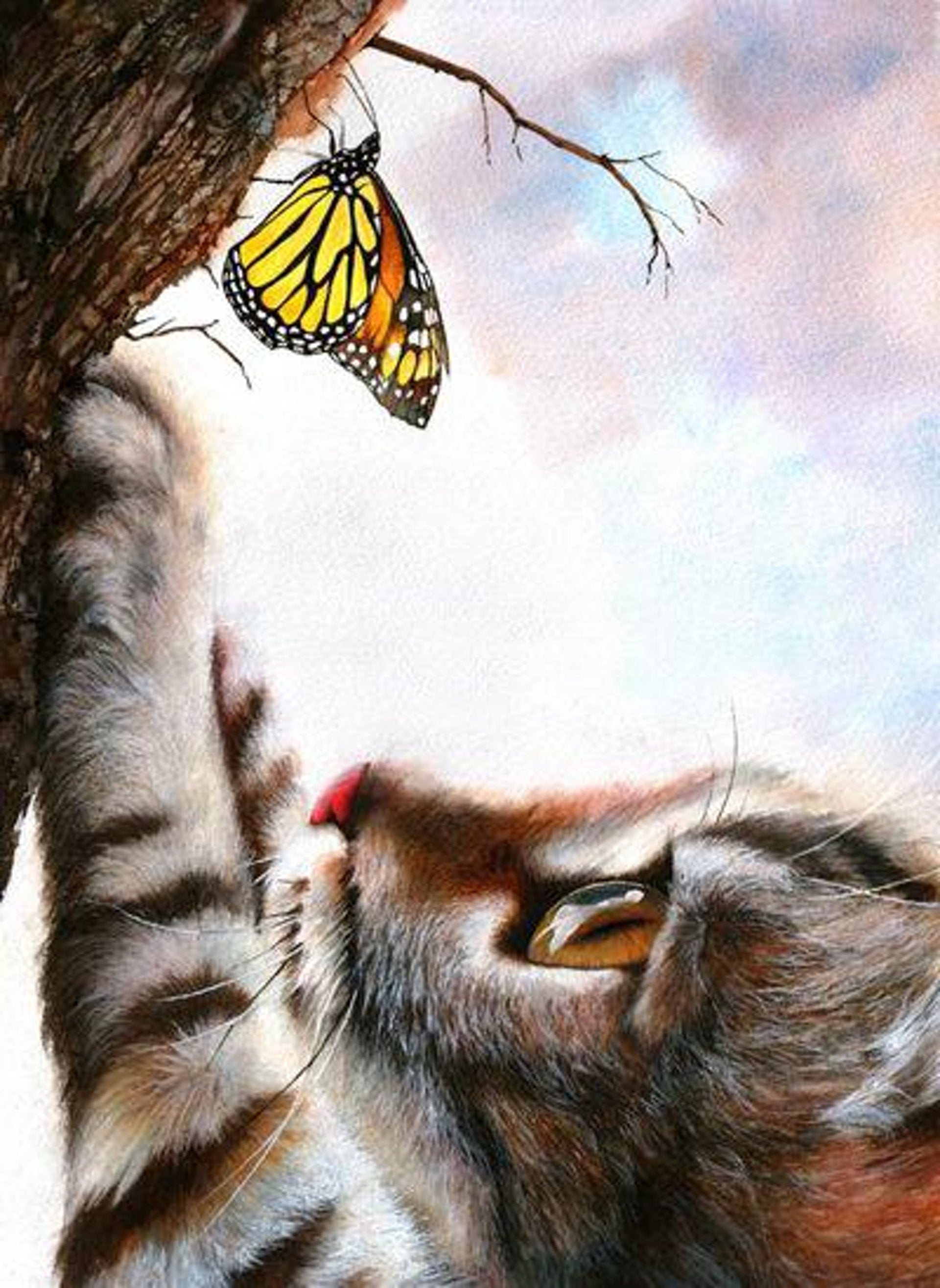 Cat and Butter Fly Painting kit