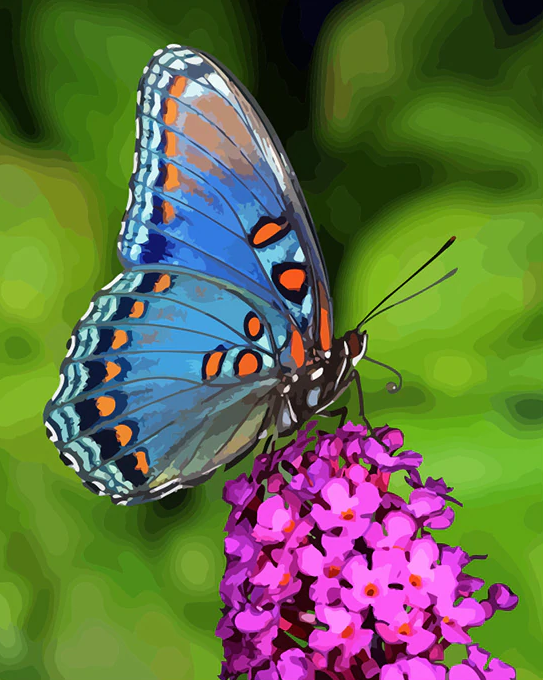 Colorful Butterfly On Flowers Kit