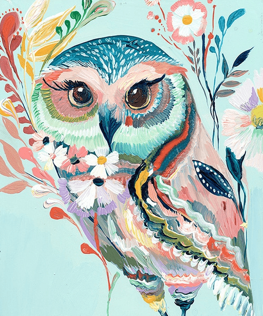 Colorful Owl