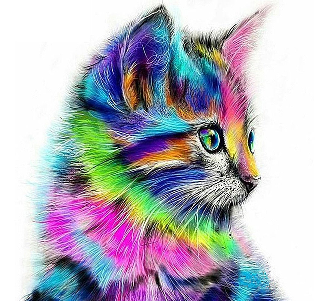Colourful Cat Painting By Number