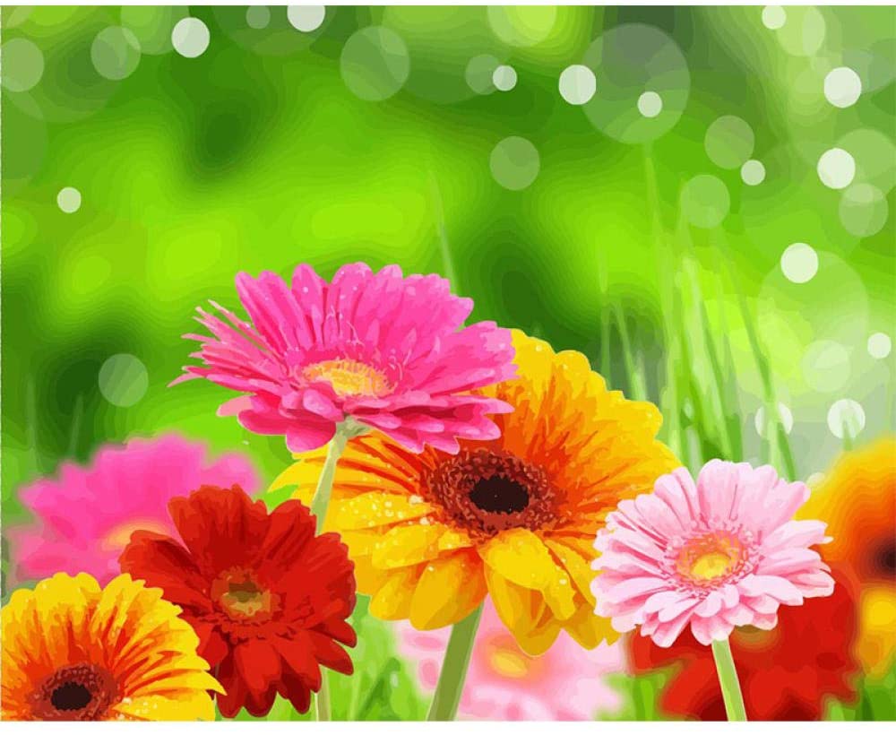 Colourful Flowers Paint By Numbers kit