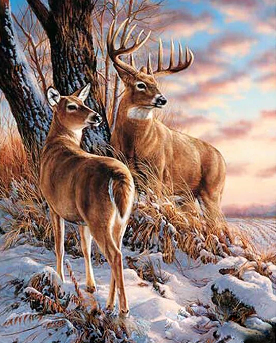 Couple Of Deer In Forest Kit