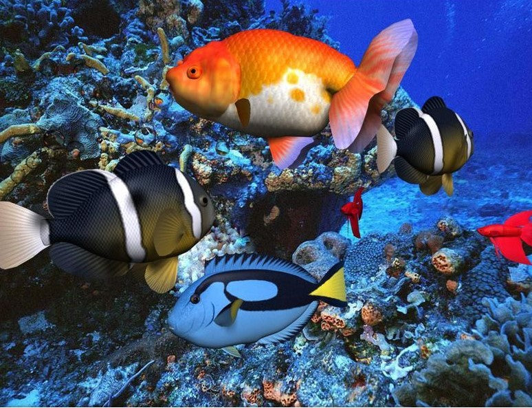 Cute Fishes In Water Kit