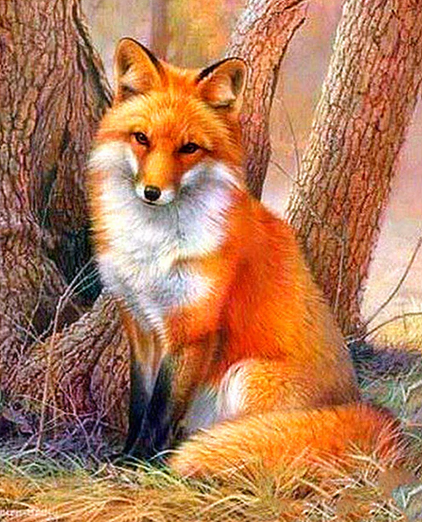 Cute Fox Kit