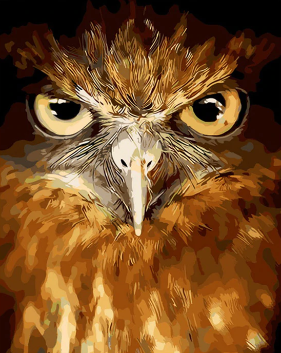 Cute Owl Painting Kit