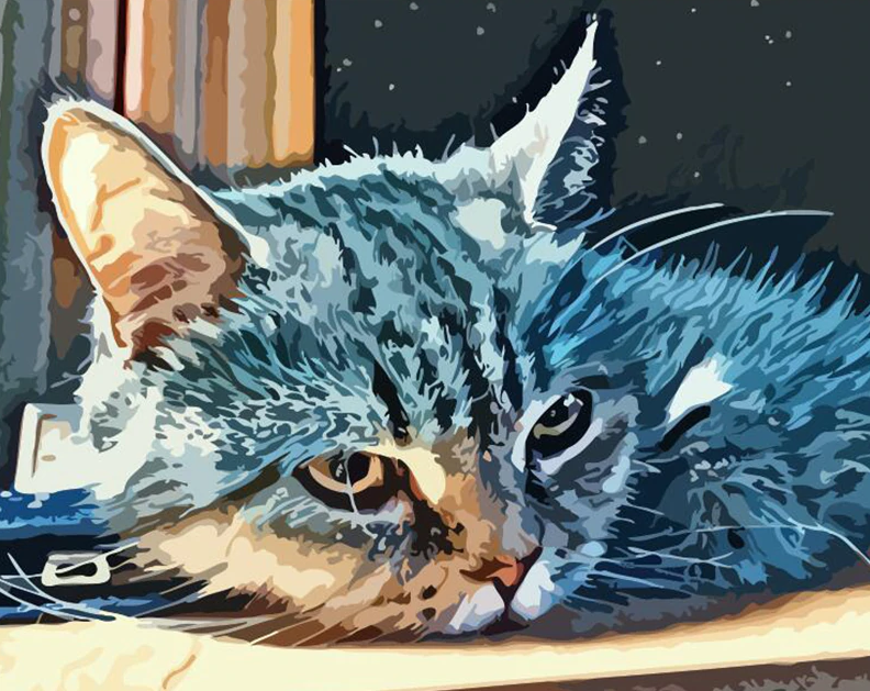 Cute Sad Cat Painting Kit