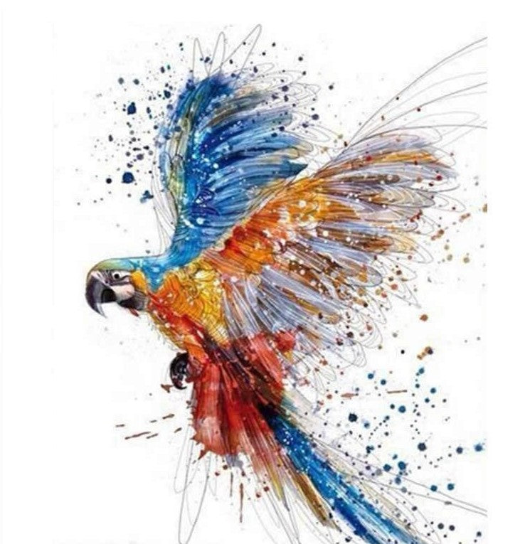 multi colour Parrot