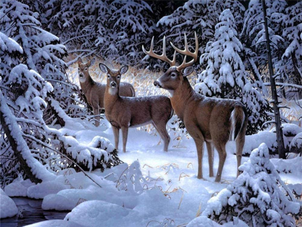 Deer painting