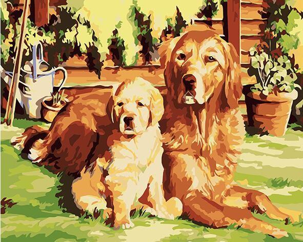 Dogs In Garden