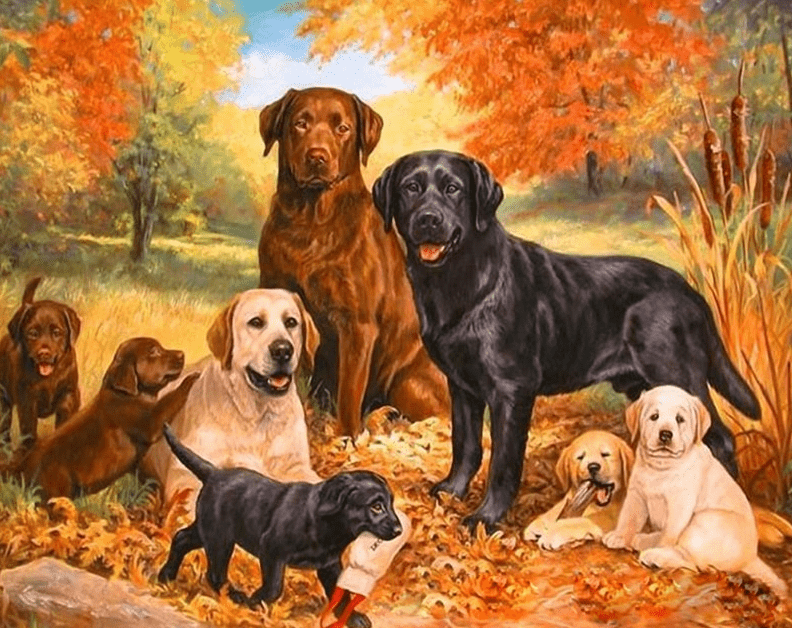 Dogs In Jungle