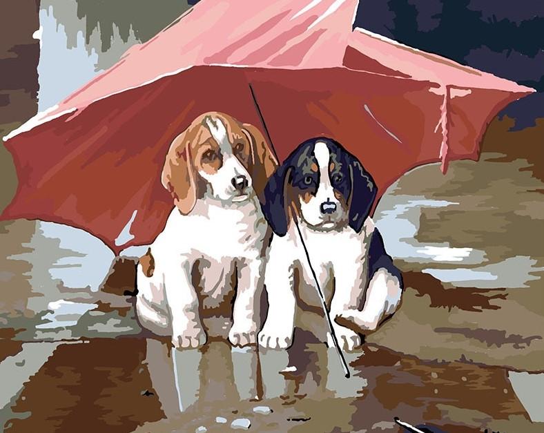 Dogs Under Umbrella