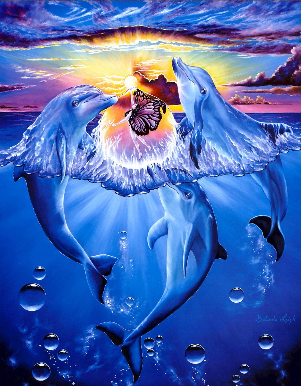 Dolphins  painting kit