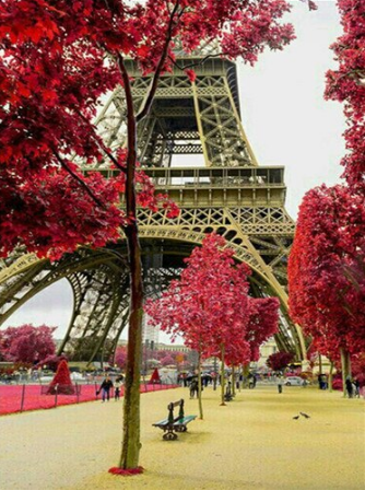 Eiffel Tower Painting By Number Kit