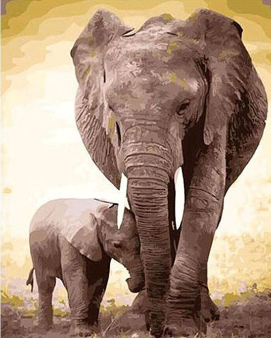 Elephant Family