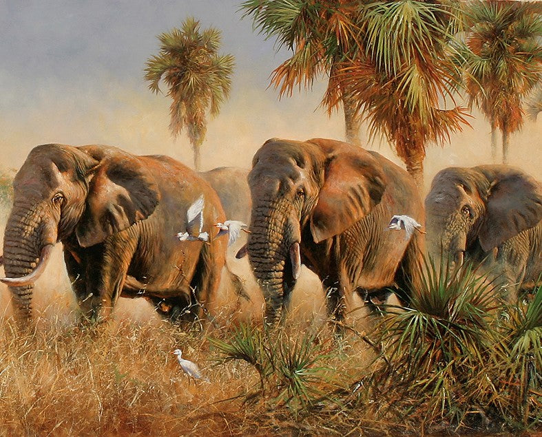 Elephants And Birds